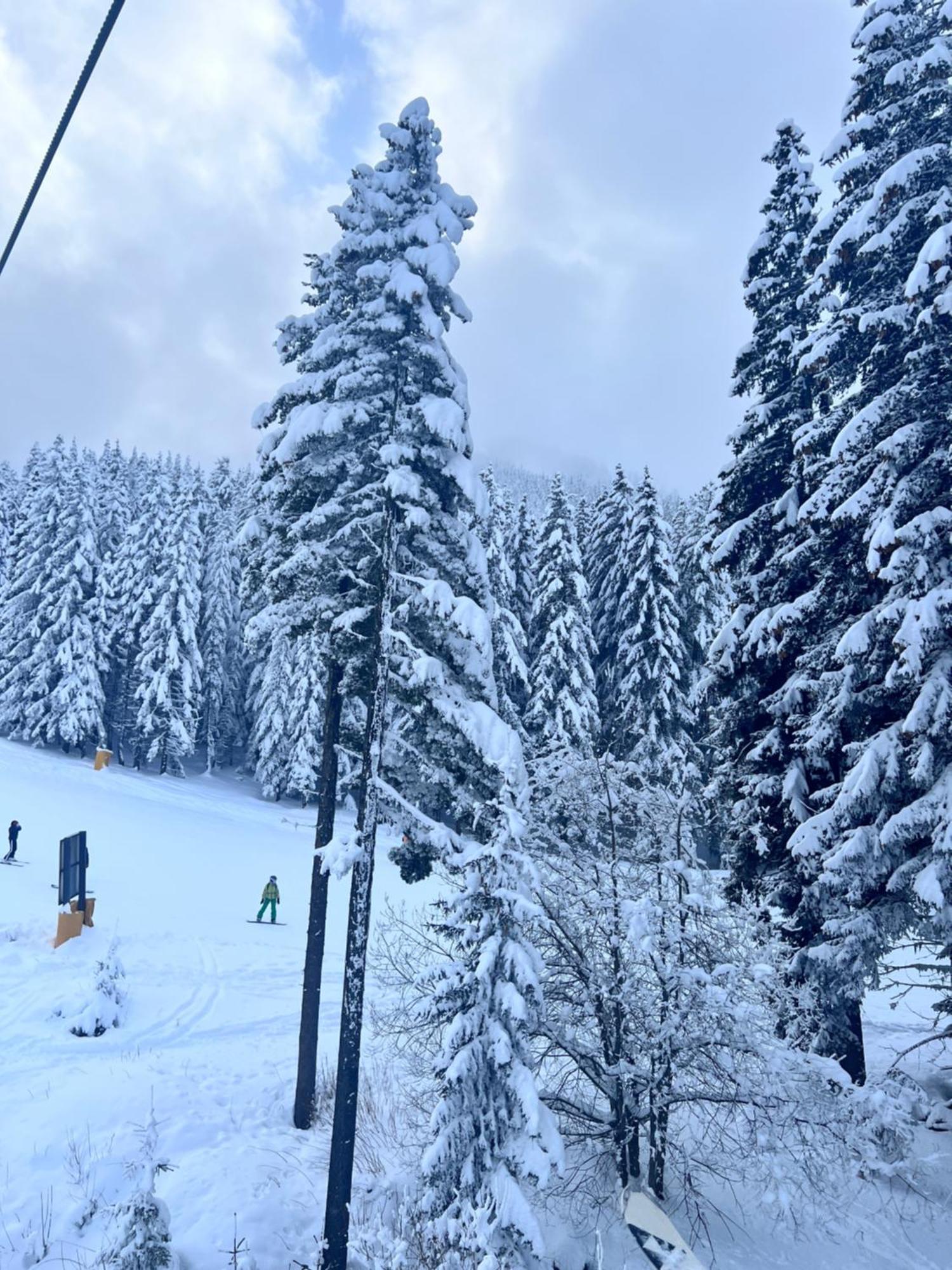 Dimitri Apartament Emerald , Near Gondola Bansko Buitenkant foto